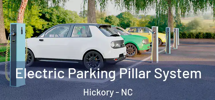Electric Parking Pillar System Hickory - NC