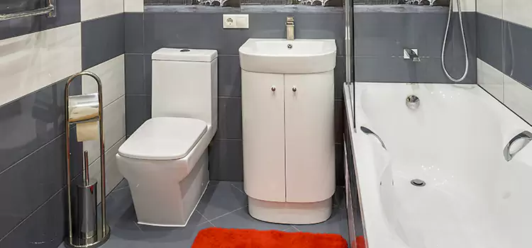 Hansgrohe Shaving Mirror Hickory